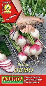 Редис Немо (Код: 89421)