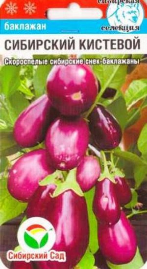 Баклажан Сибирский Кистевой (Код: 86676)