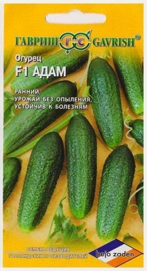 Огурец Адам F1 (Код: 6279)