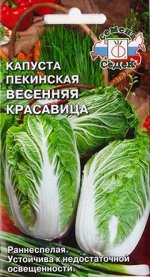 Капуста пекинская Весенняя Красавица (Код: 68348)