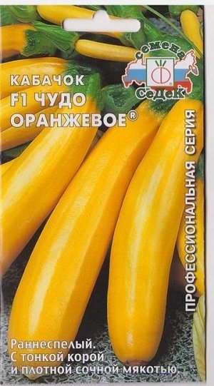 Кабачок Чудо Оранжевое F (Код: 6116)