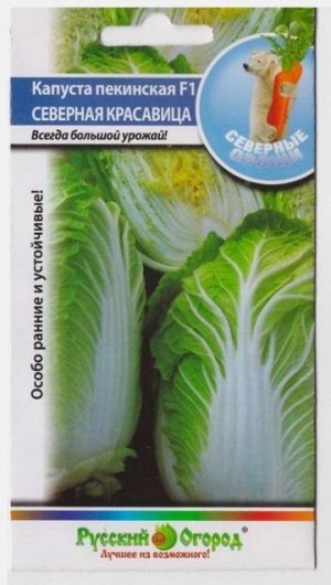 Капуста пекинская Северная красавица F1 (Код: 2977)