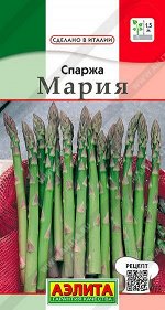 Спаржа Мария (Код: 89425)