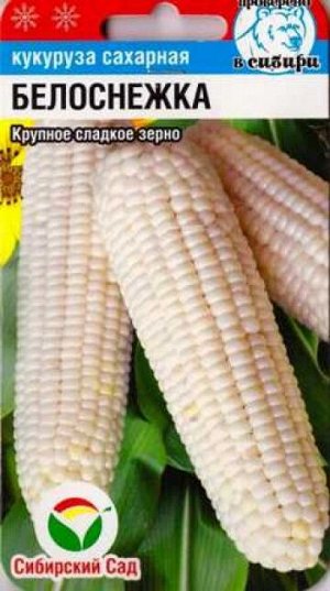 Кукуруза Белоснежка (Код: 87358)