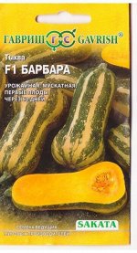 Тыква Барбара F1 (Код: 77700)