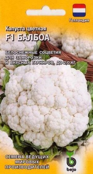 Капуста цветная Балбоа F1 (Код: 86850)