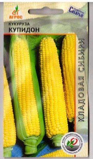 Кукуруза Купидон (Код: 81534)