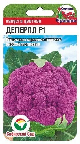 Капуста цветная Деперпл (Код: 89618)