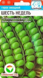 Горох 6 недель (Код: 86559)