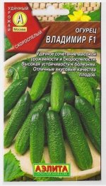 Огурец Владимир F1 (Код: 1801)