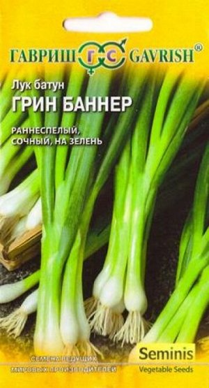 Лук Батун Грин Баннер (Код: 81825)