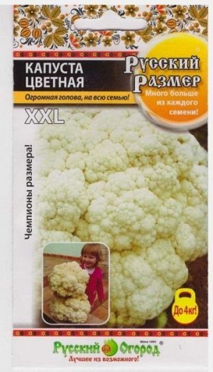 Капуста цветная Русский размер (Код: 7969)
