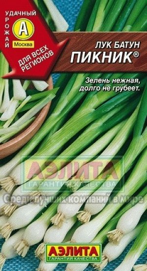 Лук Батун Пикник (Код: 8577)