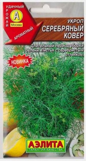 Укроп Серебряный Ковер (Код: 81693)