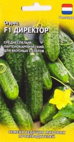 Огурец Директор F1 (Код: 85615)