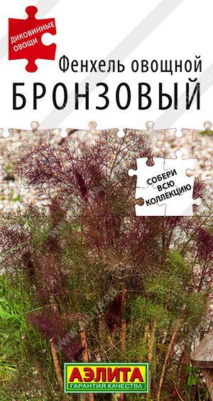 Фенхель Бронзовый (Код: 89493)
