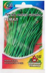 Лук на зелень Шнитт Чемал (Код: 78604)