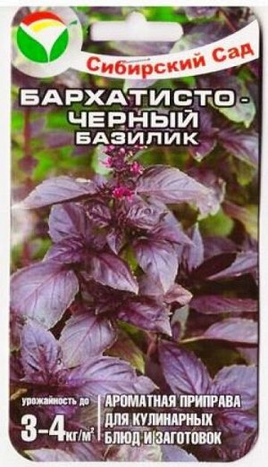 Базилик Бархатисто-черный (Код: 80438)