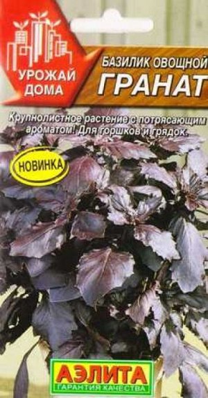Базилик Гранат (Код: 87227)