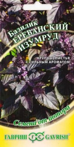 Базилик Ереванский изумруд (Код: 84872)