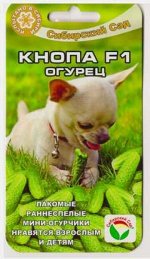 Огурец Кнопа F1 (Код: 77436)