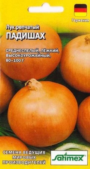 Лук репчатый Падишах (Код: 86858)