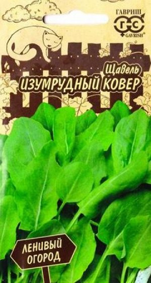 Щавель Изумрудный ковер (Код: 86923)