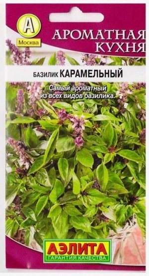 Базилик Карамельный (Код: 5362)