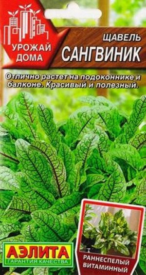 Щавель Сангвиник (Код: 85138)