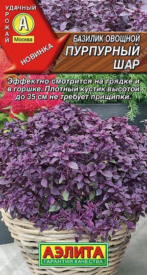 Базилик Пурпурный шар (Код: 89384)