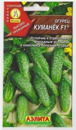 Огурец Куманек (Код: 6399)