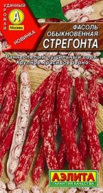 Фасоль Стрегонта (Код: 88085)