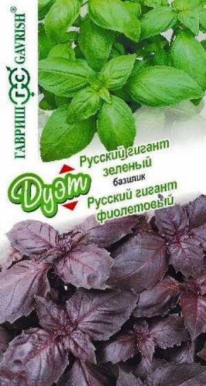 Базилик Русский гигант зеленый+фиолет (Код: 88026)