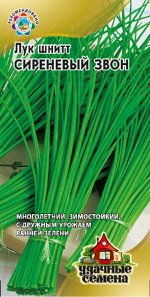 Лук шнитт Сиреневый Звон (Код: 68268)