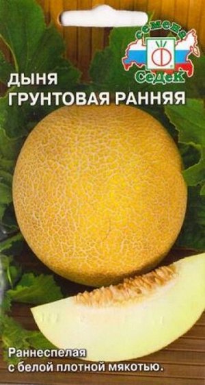 Дыня Грунтовая ранняя (Код: 14823)