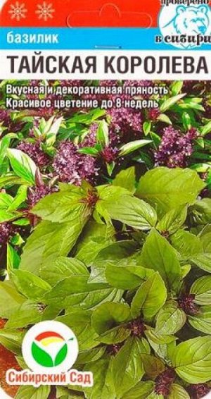 Базилик Тайская Королева (Код: 85047)