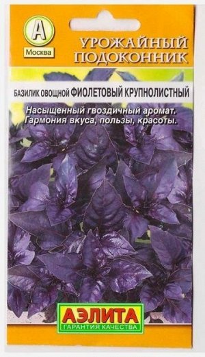 Базилик Фиолетовый крупнолистный (Код: 6525)
