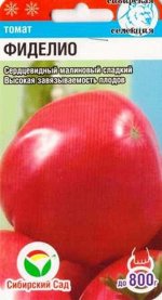 Томат Фиделио (Код: 15023)