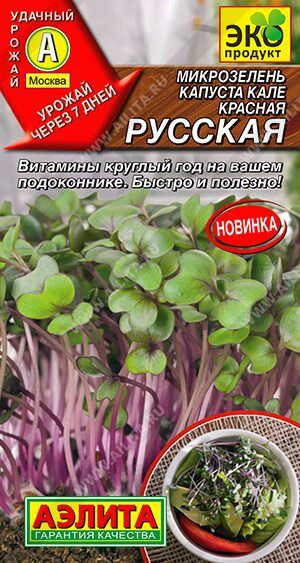 Микрозелень Капуста кале Красная русская (Код: 89401)