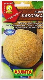Дыня Лакомка (Код: 79333)