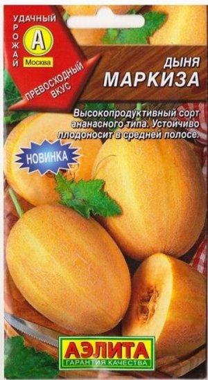 Дыня Маркиза (Код: 79334)