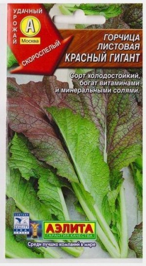 Горчица Красный гигант листовая (Код: 5648)