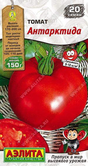 Томат Антарктида (Код: 89428)