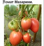 Томат Мазарини (5 семян)