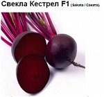 Свекла Кестрел F1 (0.5 грамм). Надежный сорт. Долго хранится. Вкусный и сохраняет свойства при хранении