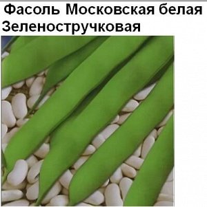 Фасоль Московская белая Зеленостручковая (3 грамма)
