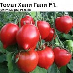 Томат Хали Гали F1(10семян) Урожайный, не поражается фитофторой! Элитная селекция