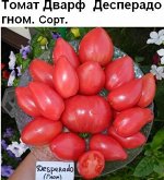 Томат Дварф Десперадо гном (5 семян)