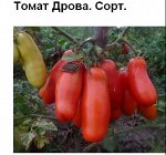 Томат Дрова (5 семян)
