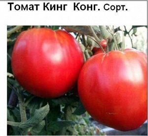 Томат Кинг Конг (5 семян)